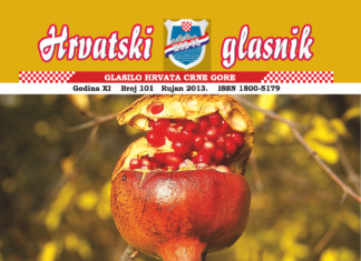 Hrvatski glasnik 101 thumbnail of hrvatski-glasnik-101-web