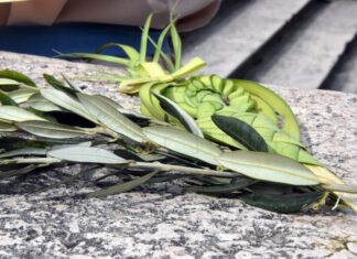 Cvjetnica – spomen na ulazak Isusa u Jeruzalem i početak Nedjelje Muke Gospodnje